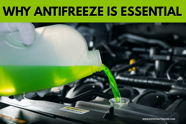 Why Antifreeze Is Essential: Consequences of Running a Car Without It